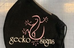 gecko-mask1
